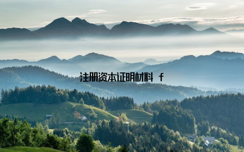 注册资本证明材料 f