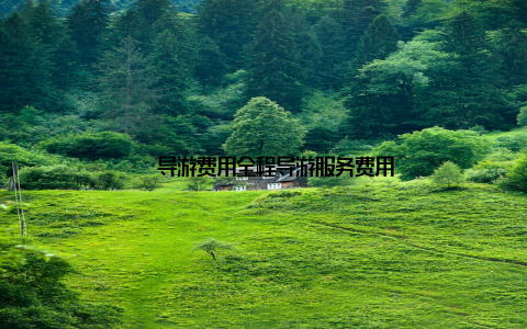 – 导游费用全程导游服务费用