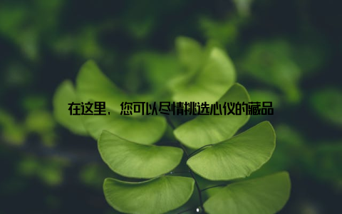 在这里, 您可以尽情挑选心仪的藏品