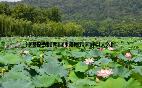 沙漠奇观陕西的沙漠景观同样引人入胜