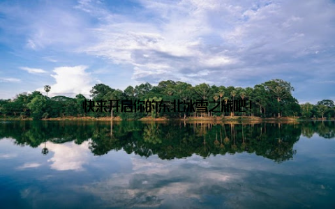 快来开启你的东北冰雪之旅吧!