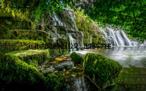 市内交通则以公交、出租车为主