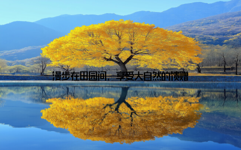 漫步在田园间, 享受大自然的馈赠