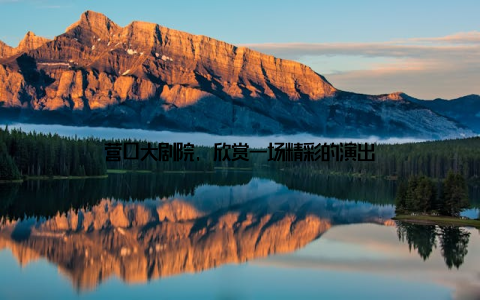 营口大剧院, 欣赏一场精彩的演出