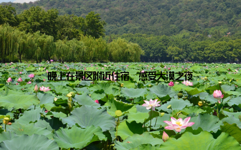 晚上在景区附近住宿, 感受大漠之夜