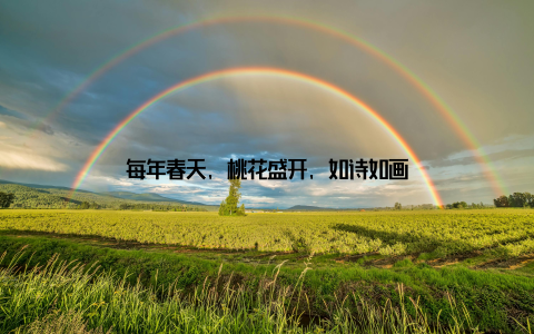 每年春天, 桃花盛开, 如诗如画